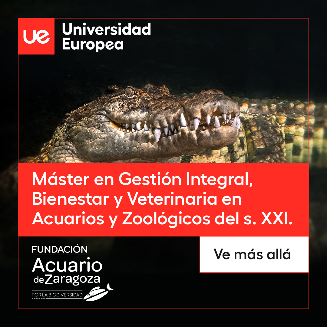 Master Zoos Acuario de Zaragoza