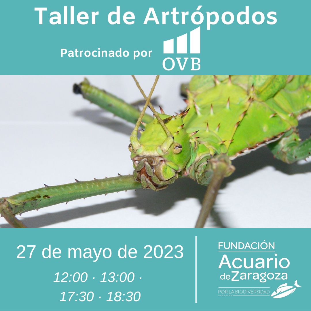 Taller Artrópodos Fundación Acuario de Zaragoza por la Biodiversidad 27 mayo 2023 
