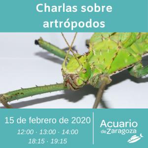 CHARLAS DE ARTRÓPODOS