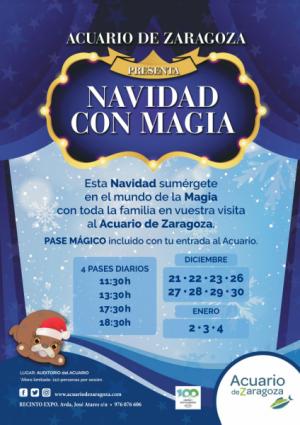 Esta Navidad… sumérgete en la magia en el Acuario de Zaragoza.