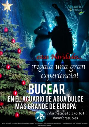 Estas Navidades Regala Experiencias en el Acuario de Zaragoza