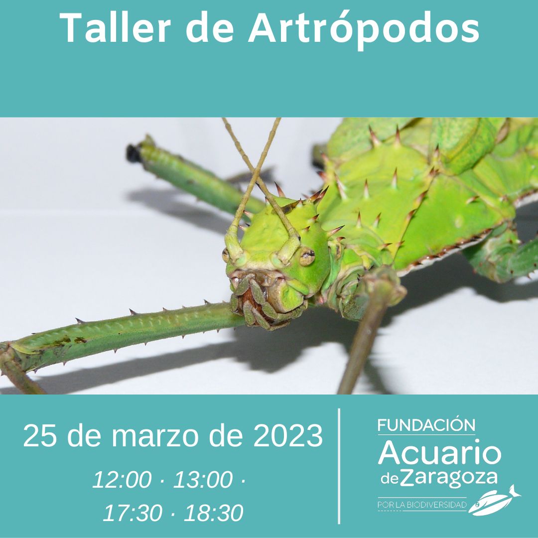 Taller artrópodos 25 de marzo Fundación Acuario de Zaeagoza por la Biodiversidad