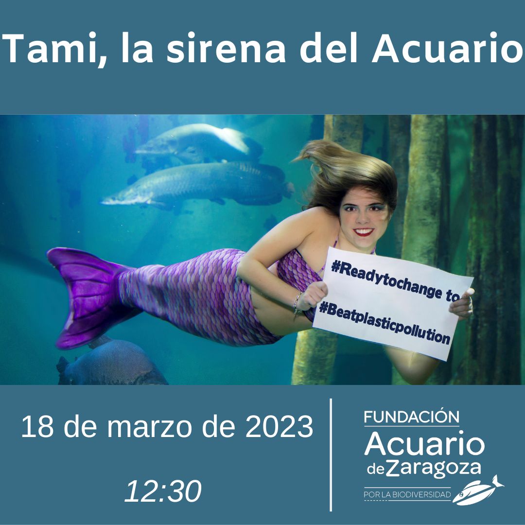 Taller sirena 18 de marzo Fundación Acuario de Zaragoza por la Bidoversidad 