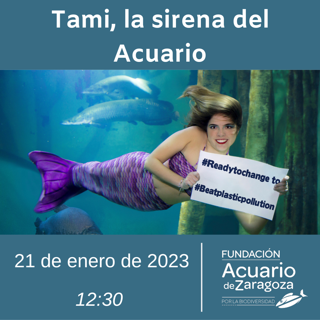 Taller 21 enero Sirena Tami Fundación Acuario de Zaragoza