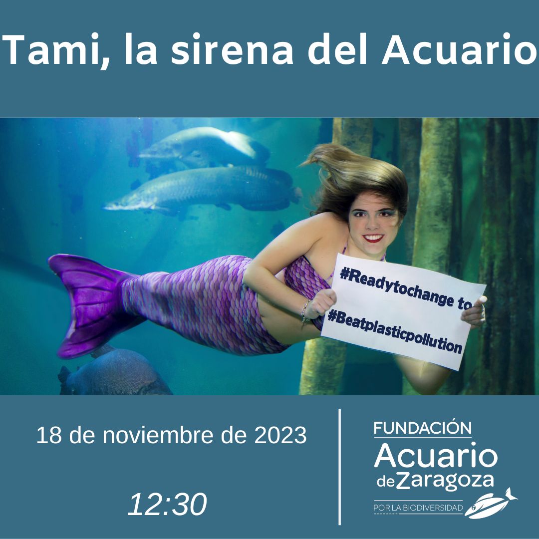 Taller Sirenita Tami Fundación Acuario de Zaragoza por la Biodiversidad 18 de noviembre 2023
