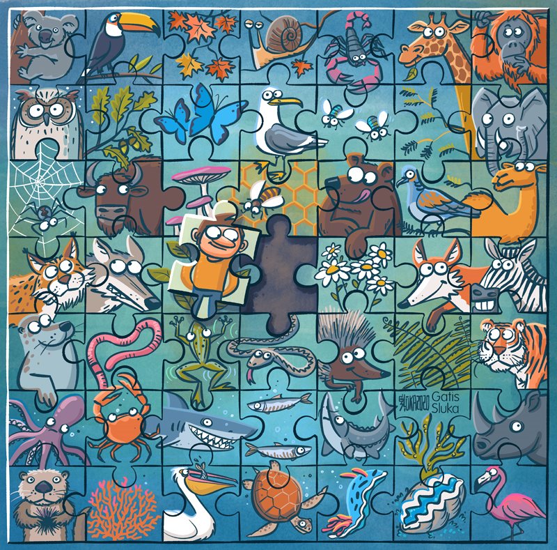 puzzle biodiversidad